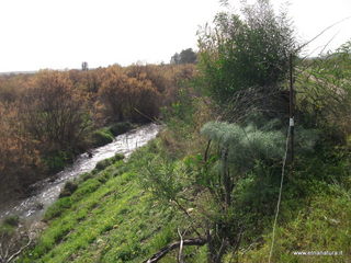Valle del Simeto